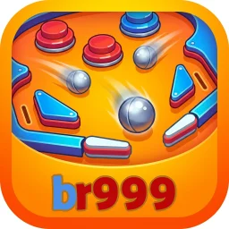 br999