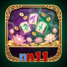 nn11